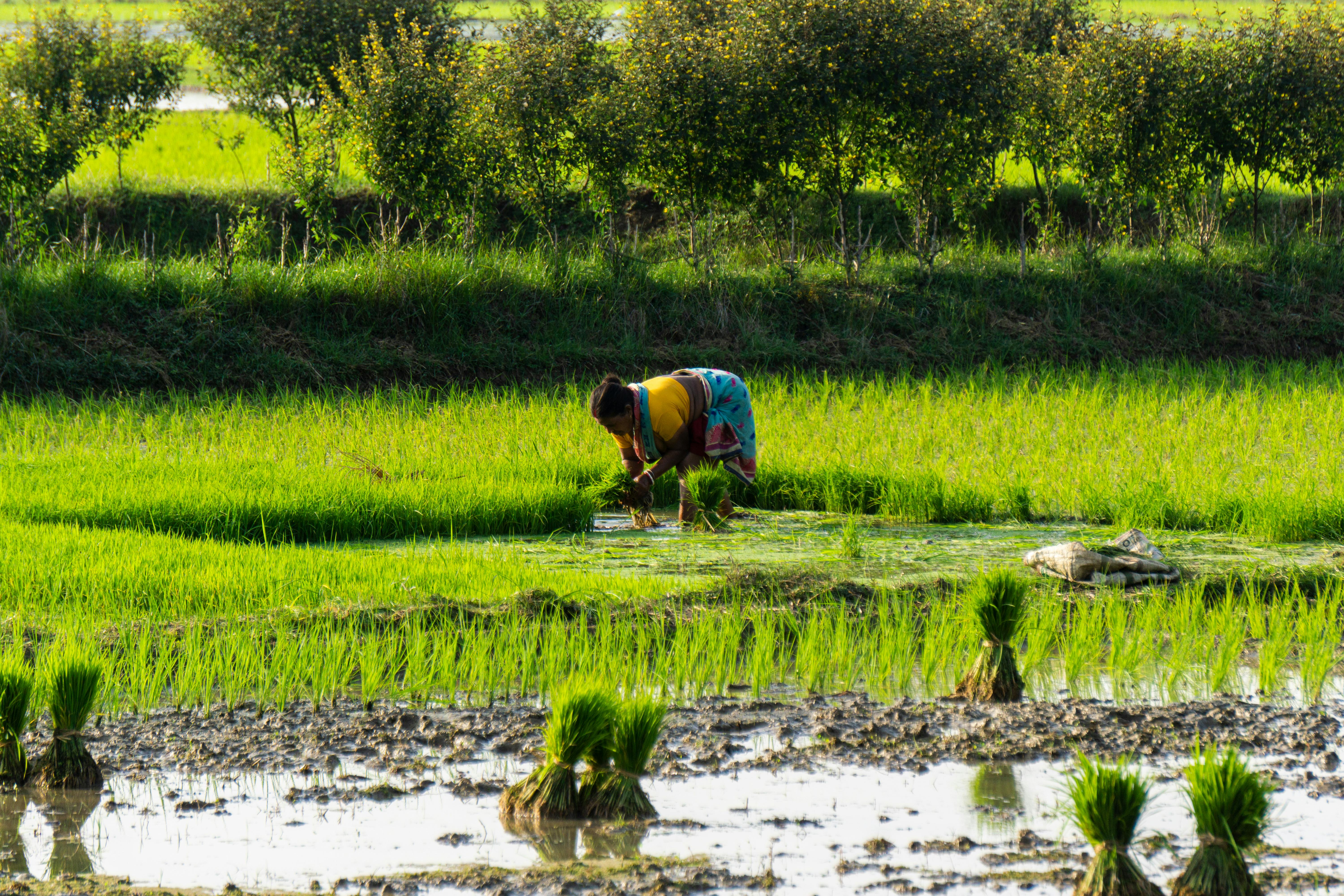 Environmental Sustainability